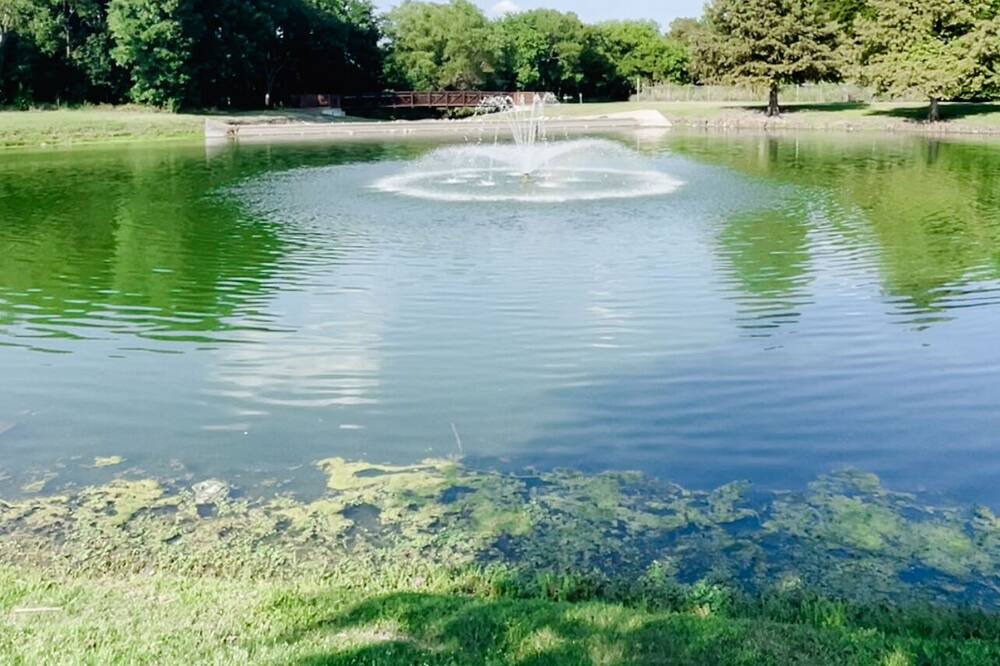Photo of Outdoor in Allen