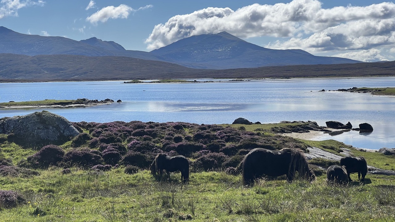Photo of Outdoor in Aisgernis