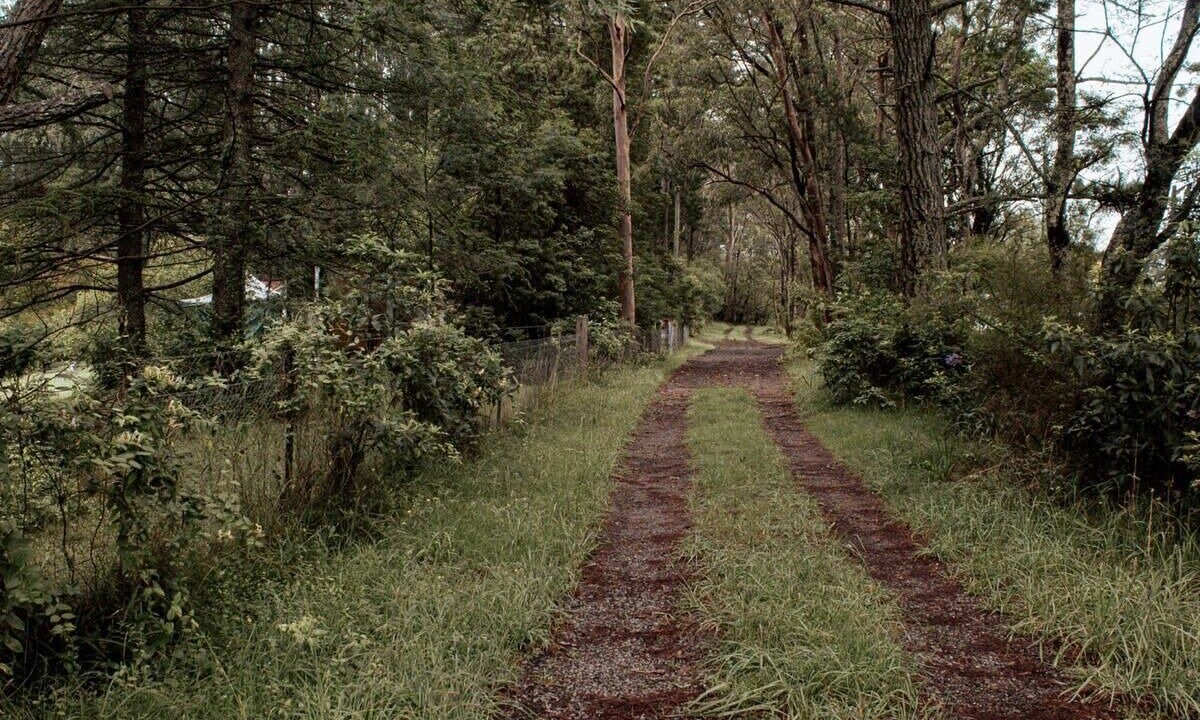 Photo of Outdoor in Bilpin