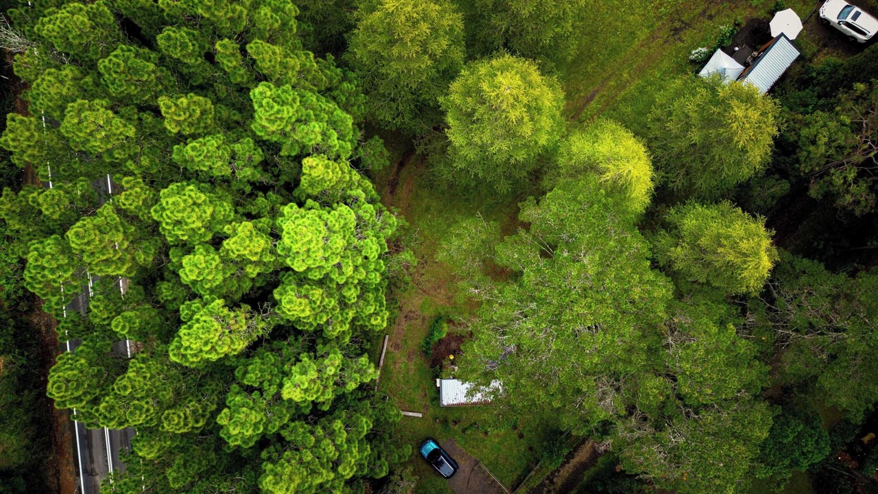 Photo of Outdoor in Bilpin