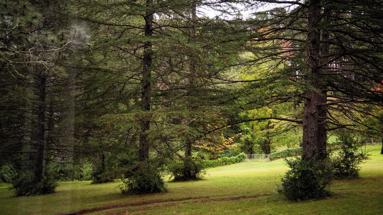 Photo of Outdoor in Bilpin