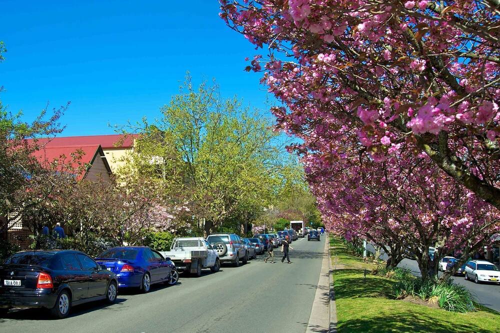 Photo of Outdoor in Blackheath