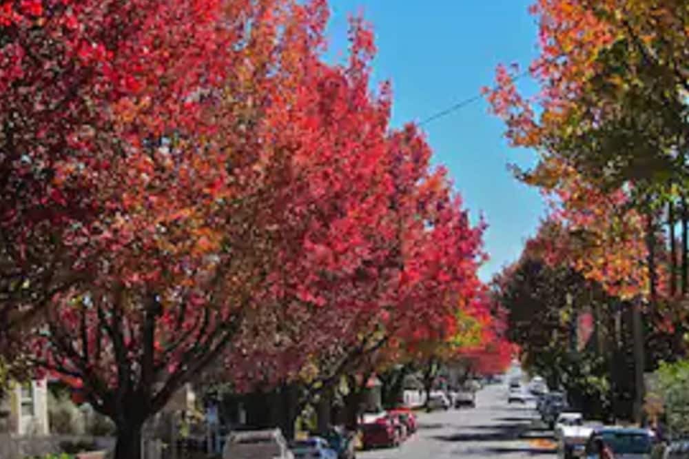 Photo of Outdoor in Blackheath