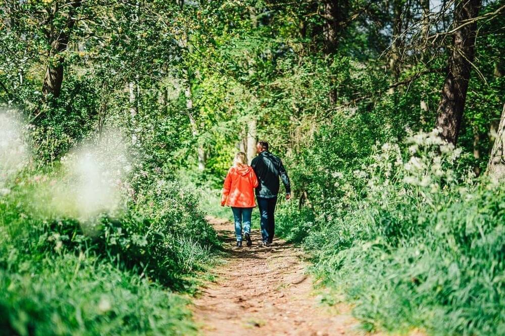 Photo of Others in Bishop Auckland