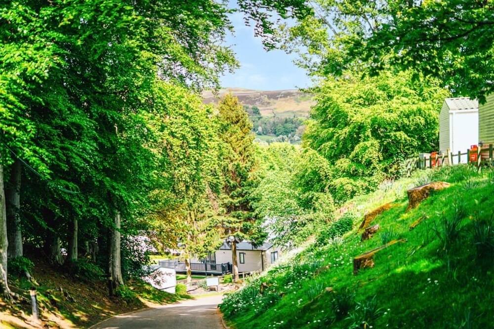 Photo of Others in Bishop Auckland