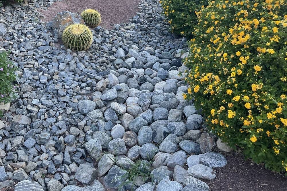 Photo of Outdoor in Cathedral City