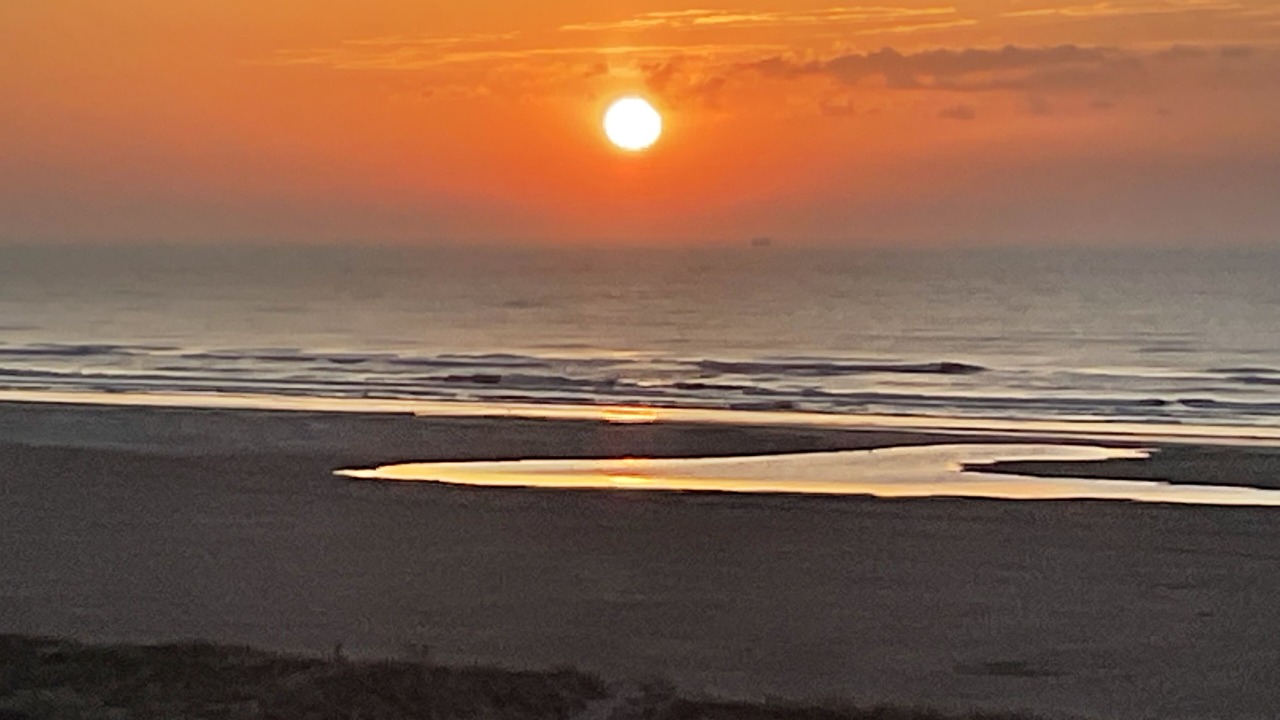 Photo of Others in Wildwood Crest