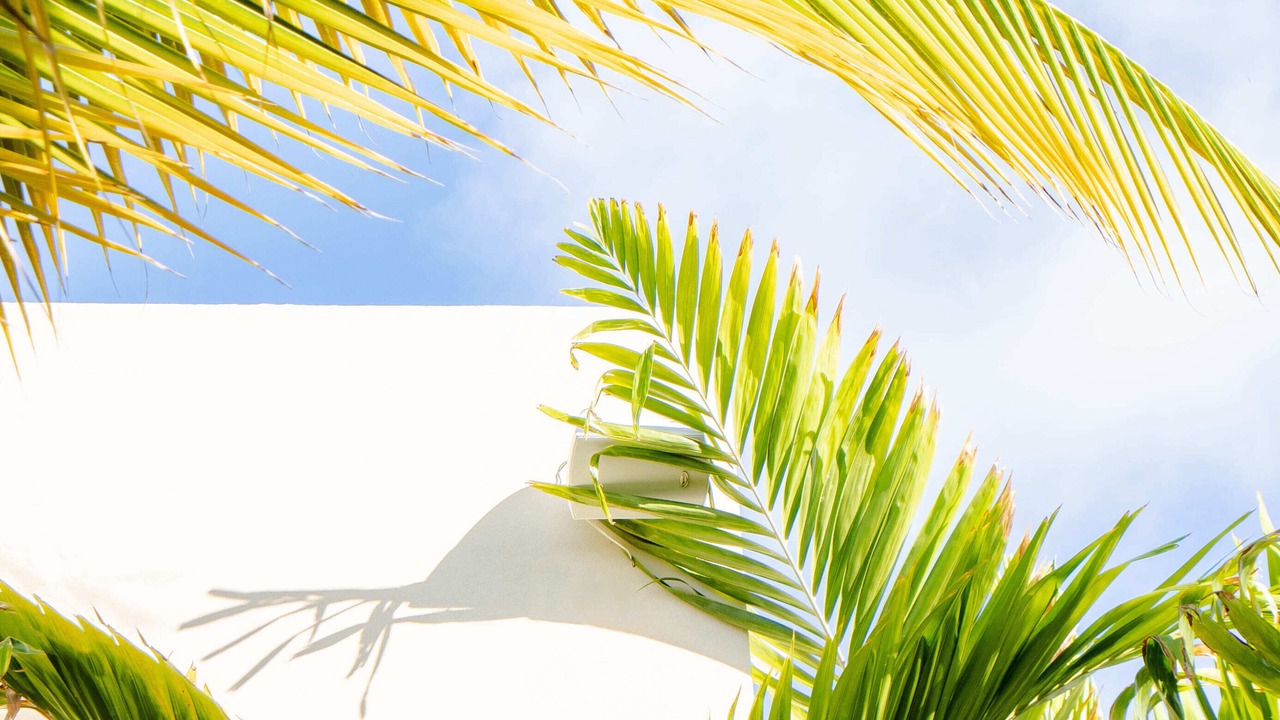 Photo of Outdoor in Cul de Sac