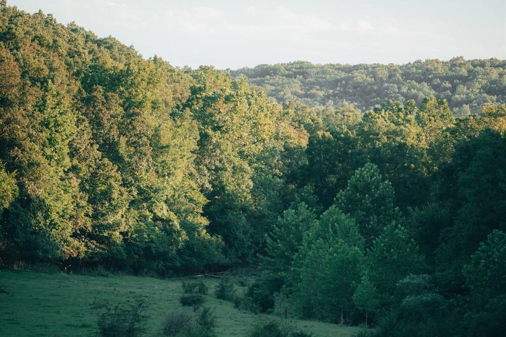 Photo of Outdoor in Falcon