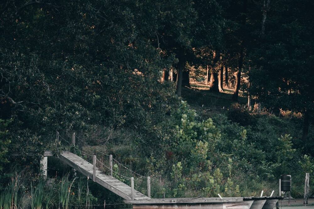 Photo of Others in Falcon