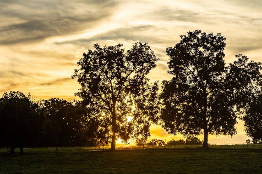Photo of Outdoor in Falcon