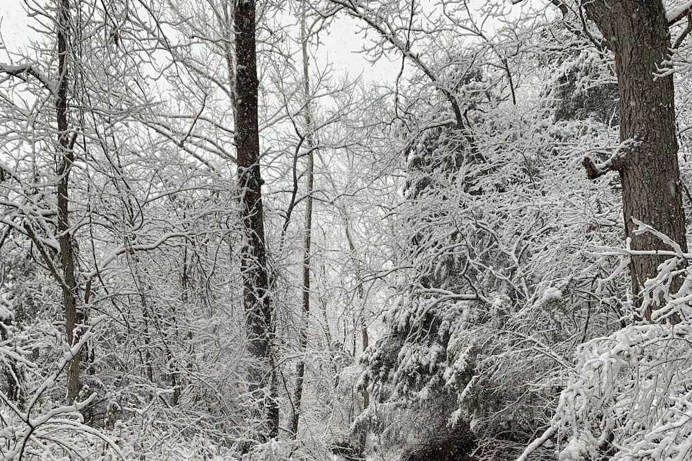 Photo of Outdoor in Vichy