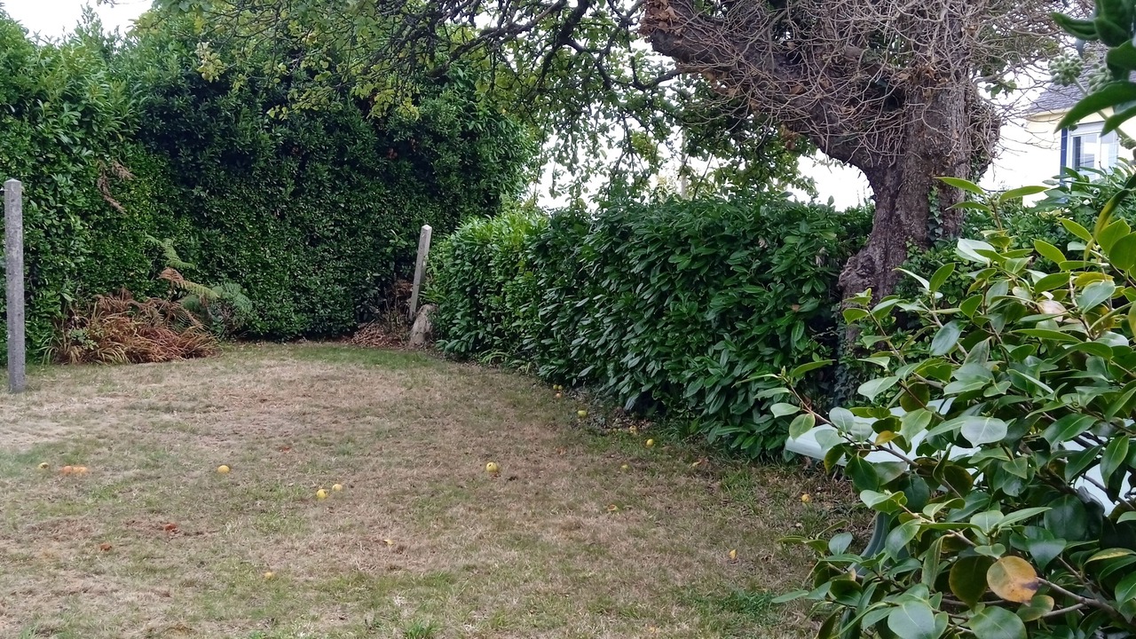 Photo of Outdoor in Argol