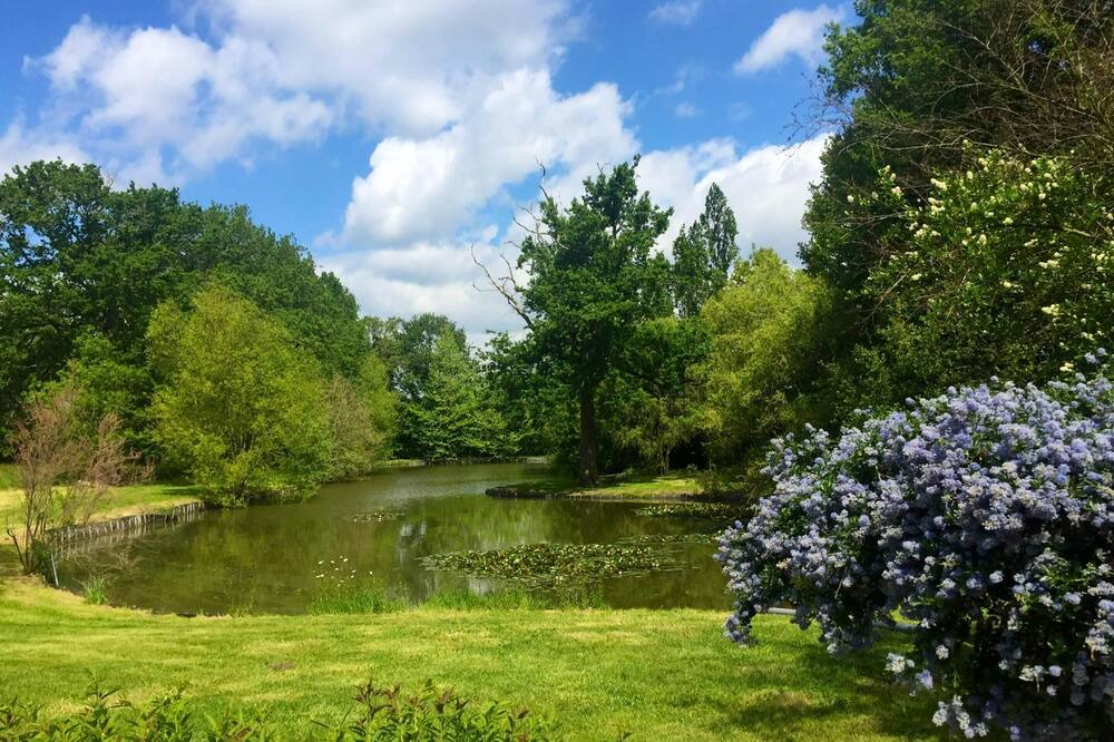 Photo of Outdoor in Saint-Georges-de-Pointindoux