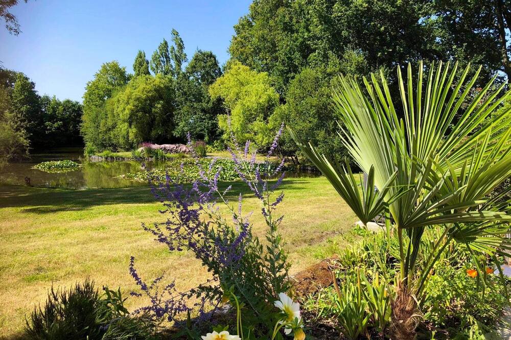 Photo of Outdoor in Saint-Georges-de-Pointindoux