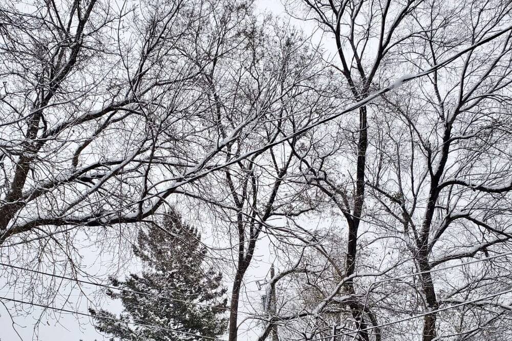 Photo of Outdoor in Pickering