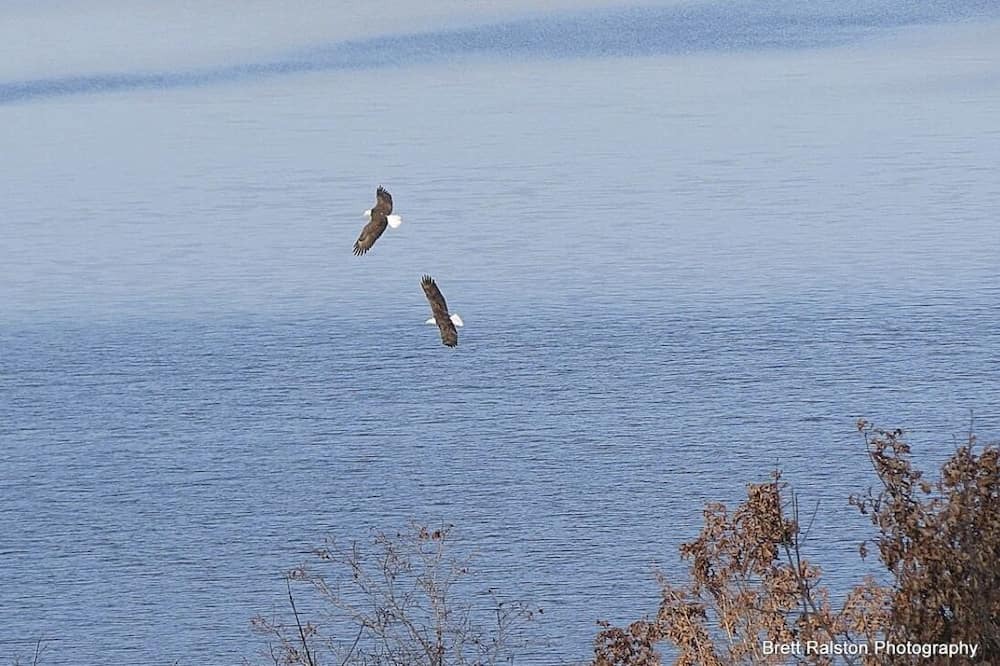 Photo of Others in Cave Springs