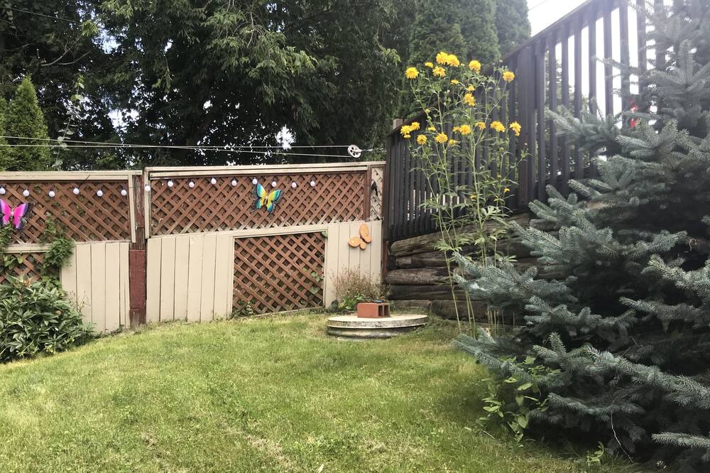 Photo of Outdoor in Dunsford
