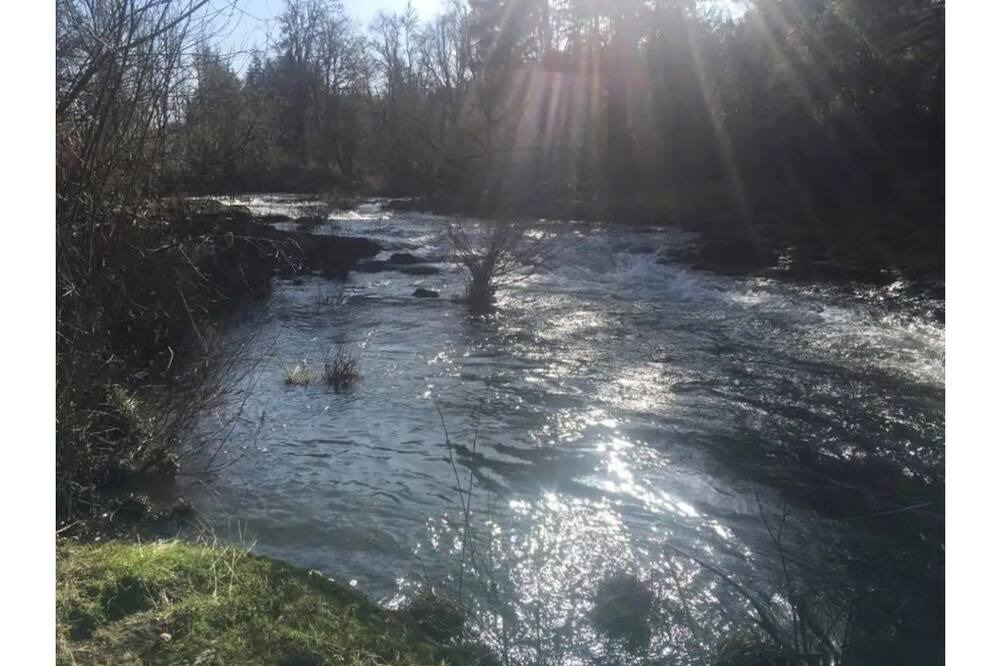 Photo of Others in Cottage Grove