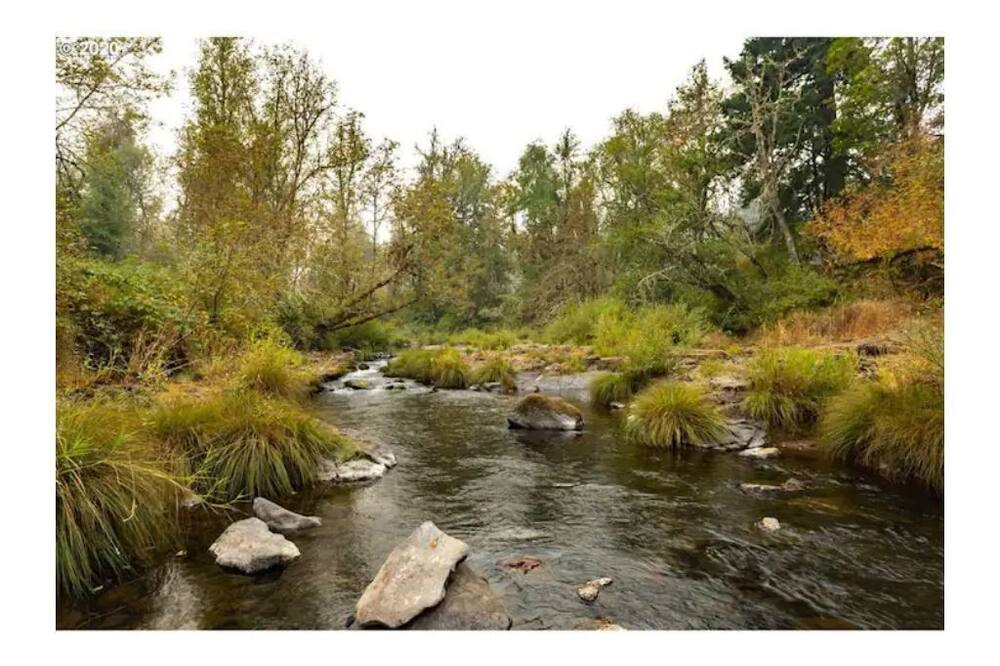 Photo of Outdoor in Cottage Grove
