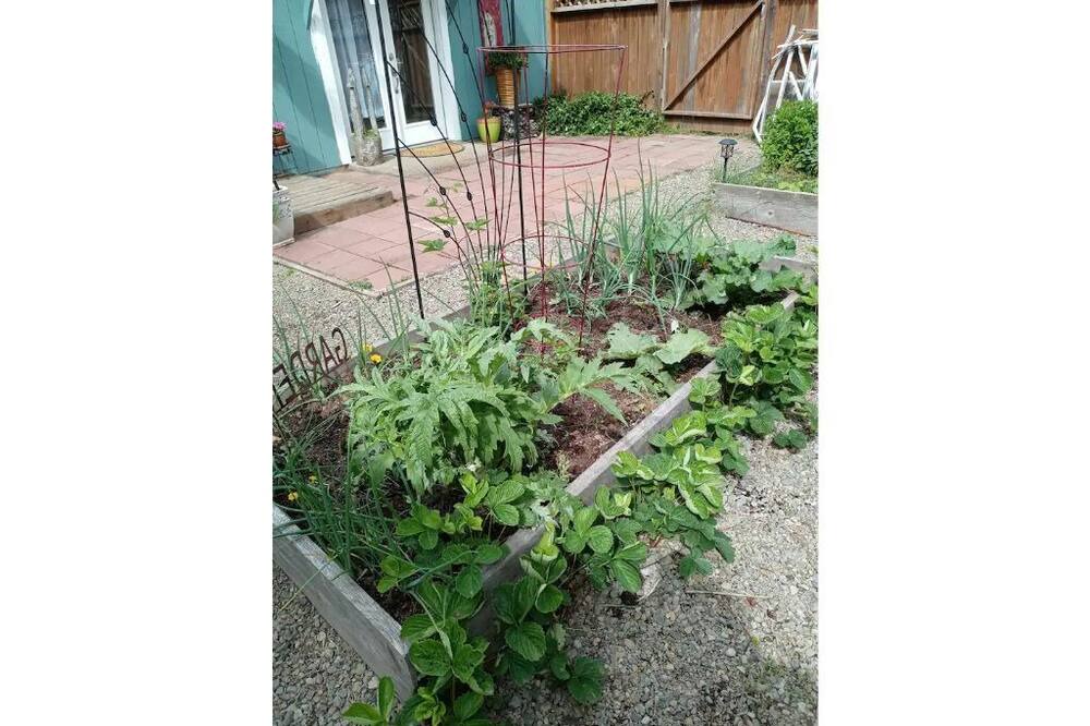 Photo of Others in Cottage Grove