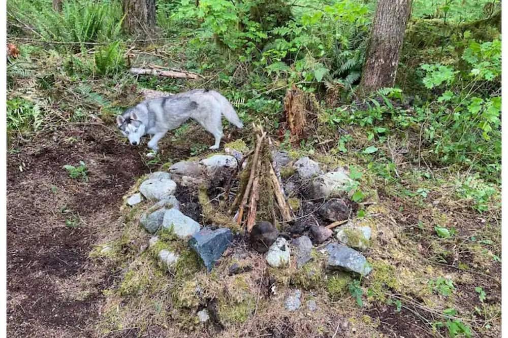 Photo of Outdoor in Marblemount