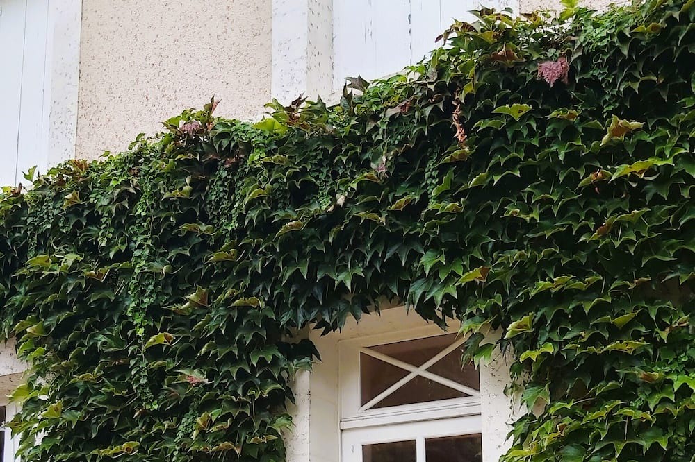 Photo of Outdoor in Saint-Cyr-sur-Loire