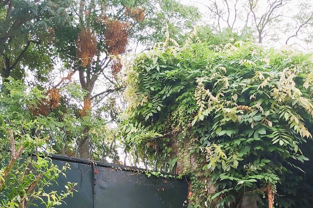 Photo of Outdoor in Saint-Cyr-sur-Loire