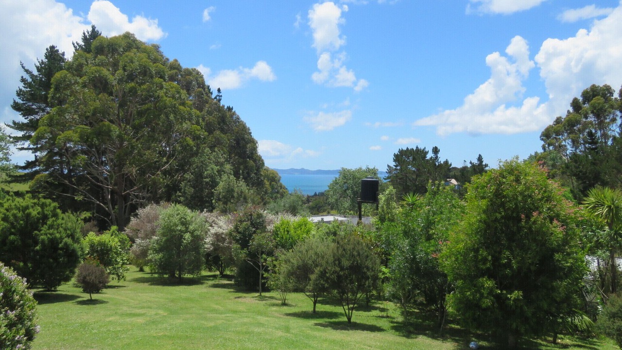 Photo of Outdoor in Cable Bay