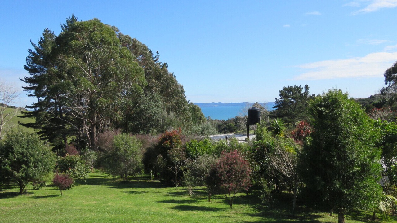 Photo of Outdoor in Cable Bay