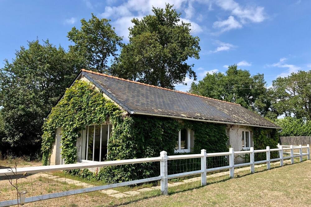 Photo of Outdoor in Saint-Leger-des-Bois