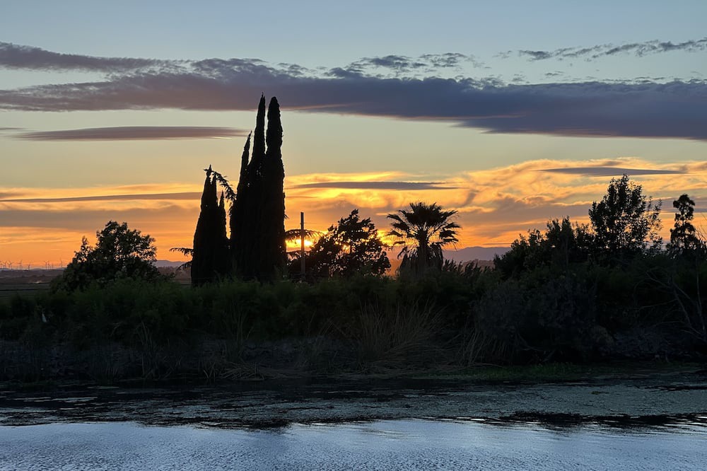 Photo of Outdoor in Isleton