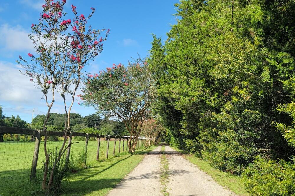 Photo of Outdoor in Beaufort