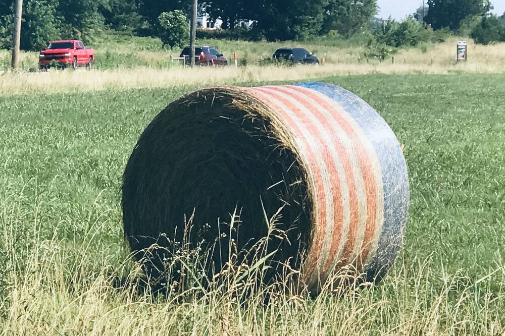 Photo of Others in Highfill