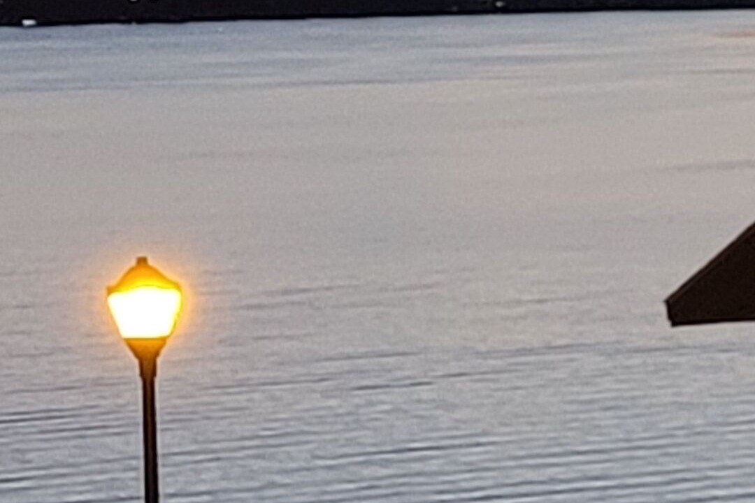 Photo of Others in Dewittville