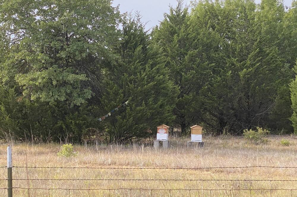 Photo of Outdoor in Decatur