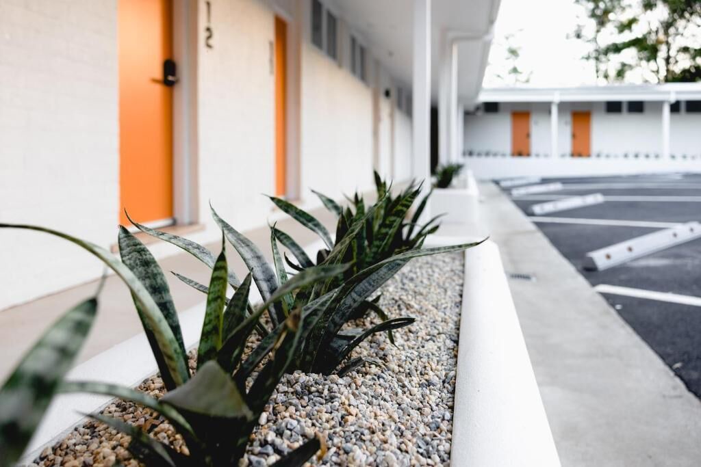 Photo of Outdoor in Berry