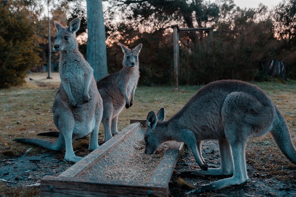 Photo of Outdoor in Forge Creek