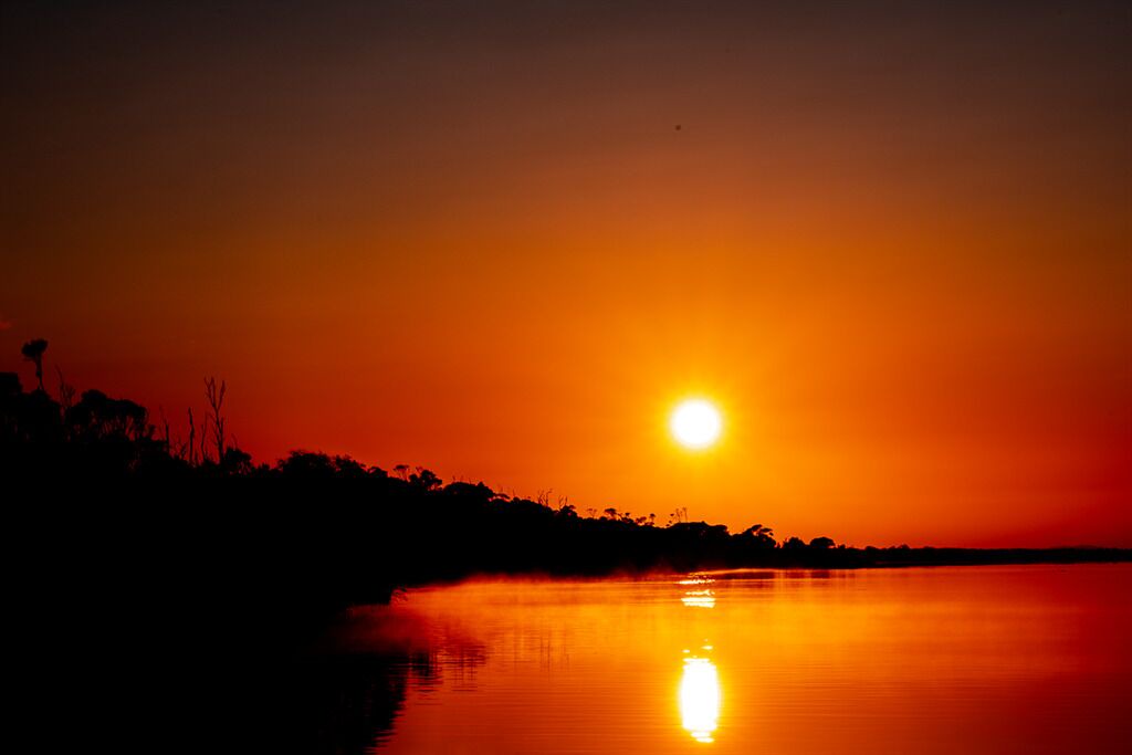 Photo of Others in Forge Creek