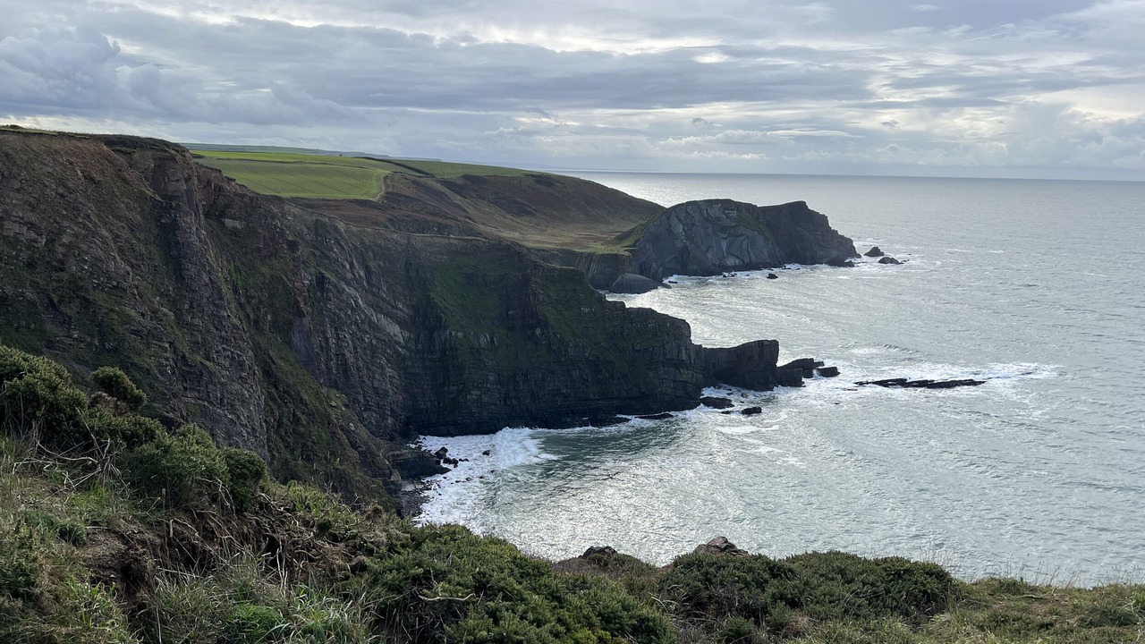 Photo of Others in South Molton