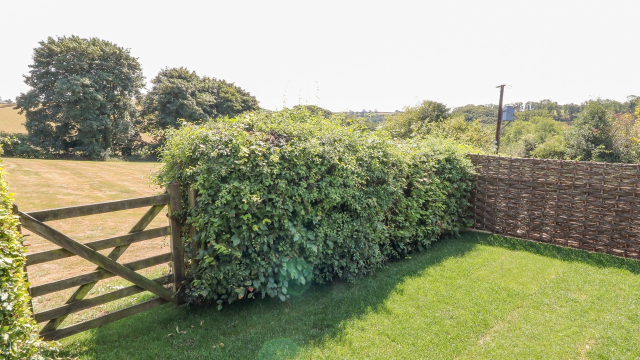 Photo of Outdoor in South Molton