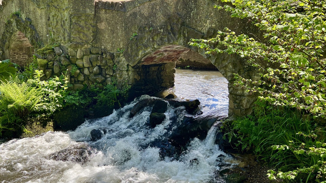 Photo of Others in South Molton