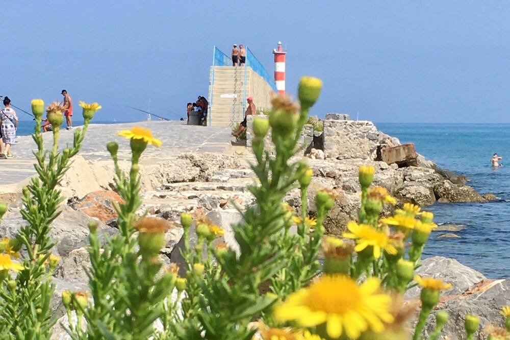 Photo of Others in Azillanet