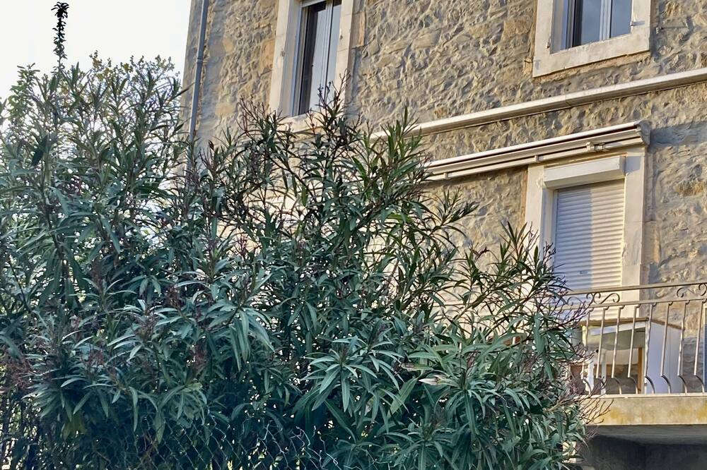 Photo of Outdoor in Azillanet