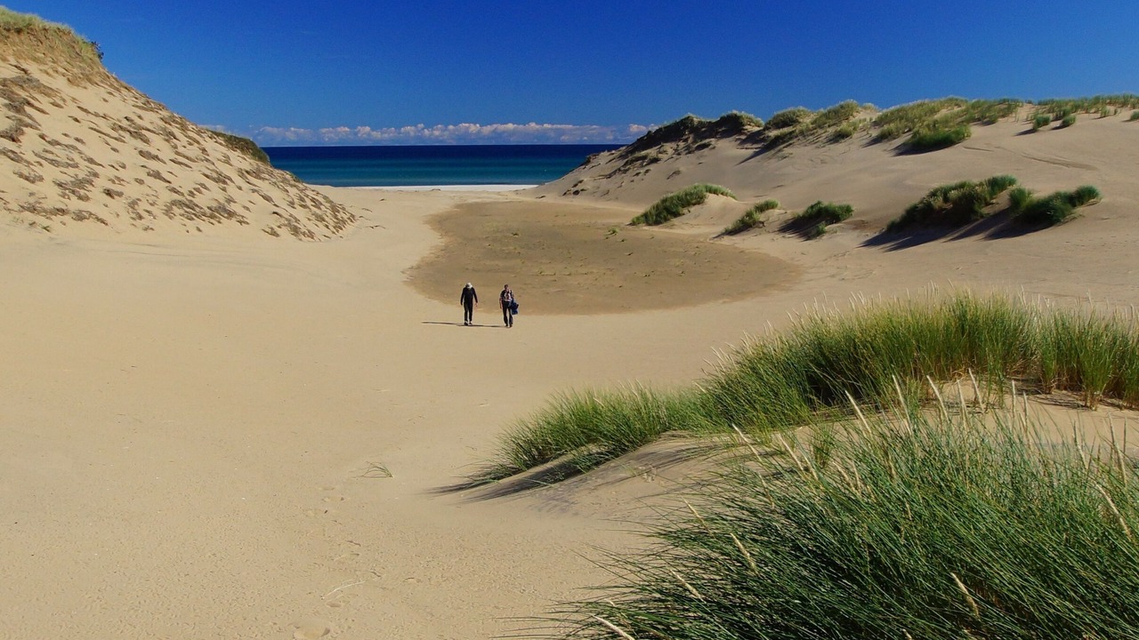 Photo of Others in Anholt