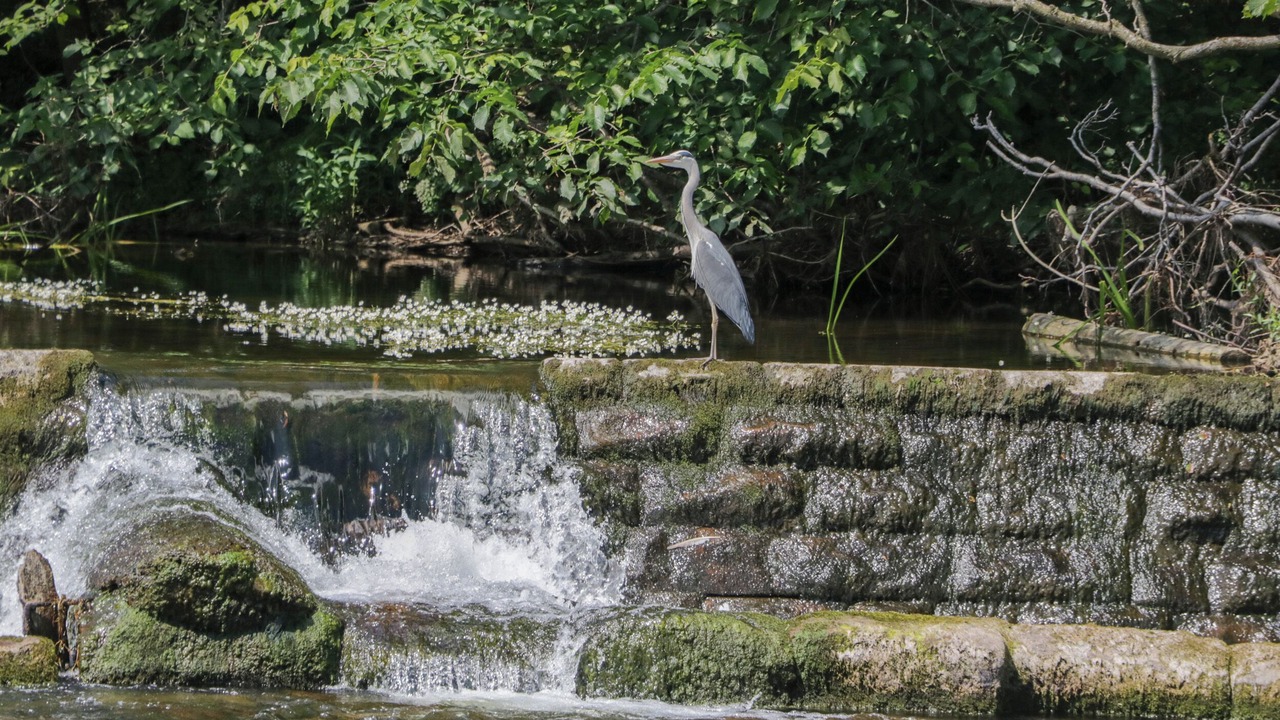 Photo of Others in Eamont Bridge