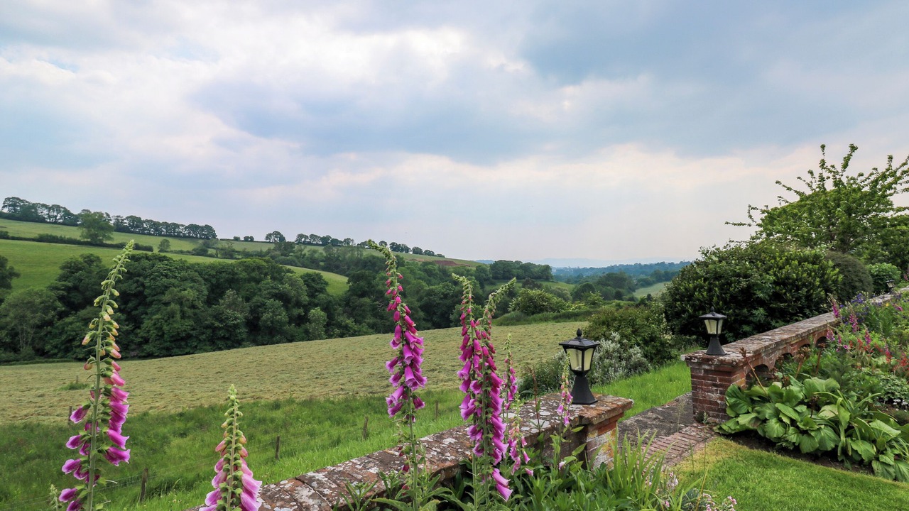 Photo of Outdoor in Heligan