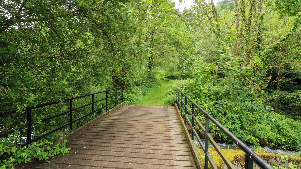 Photo of Outdoor in Heligan