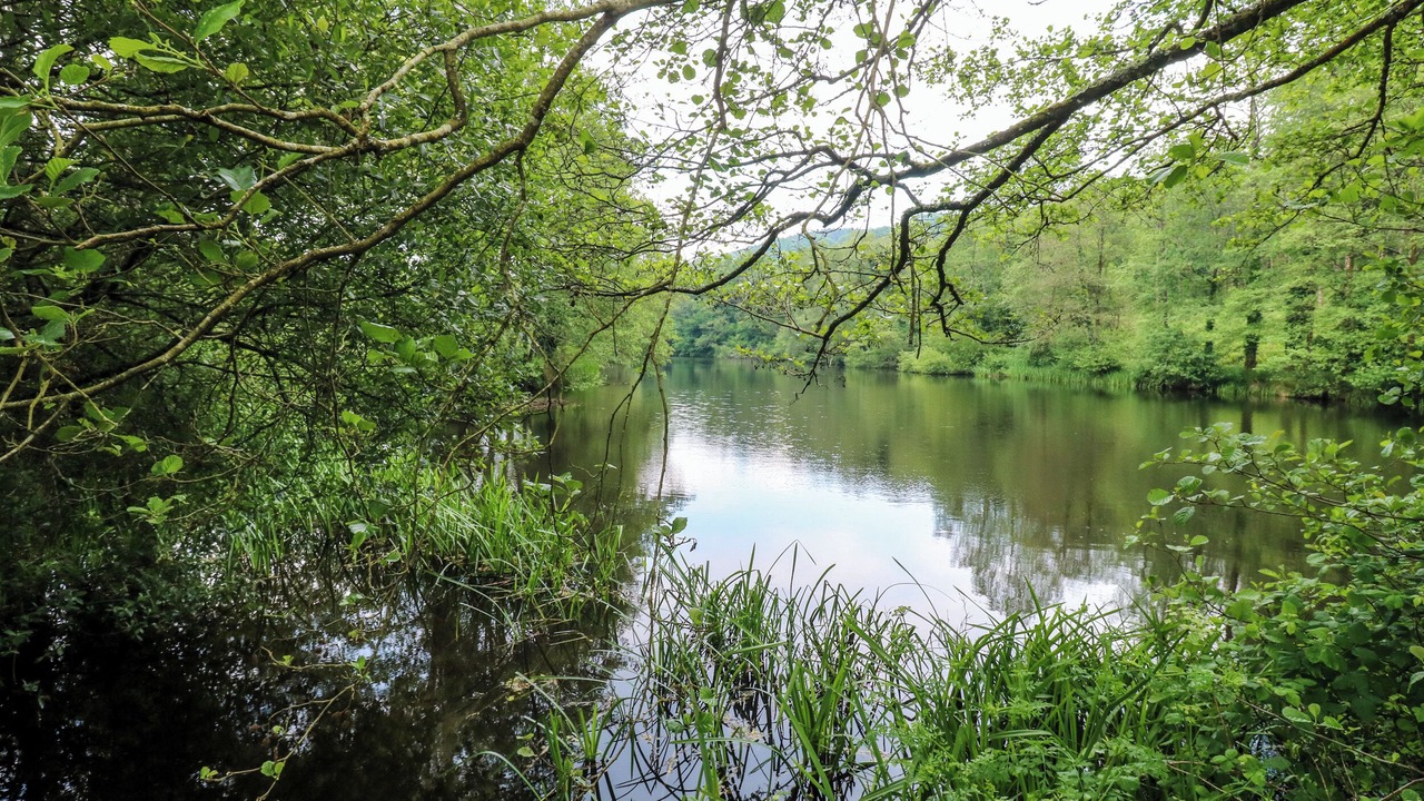 Photo of Others in Heligan