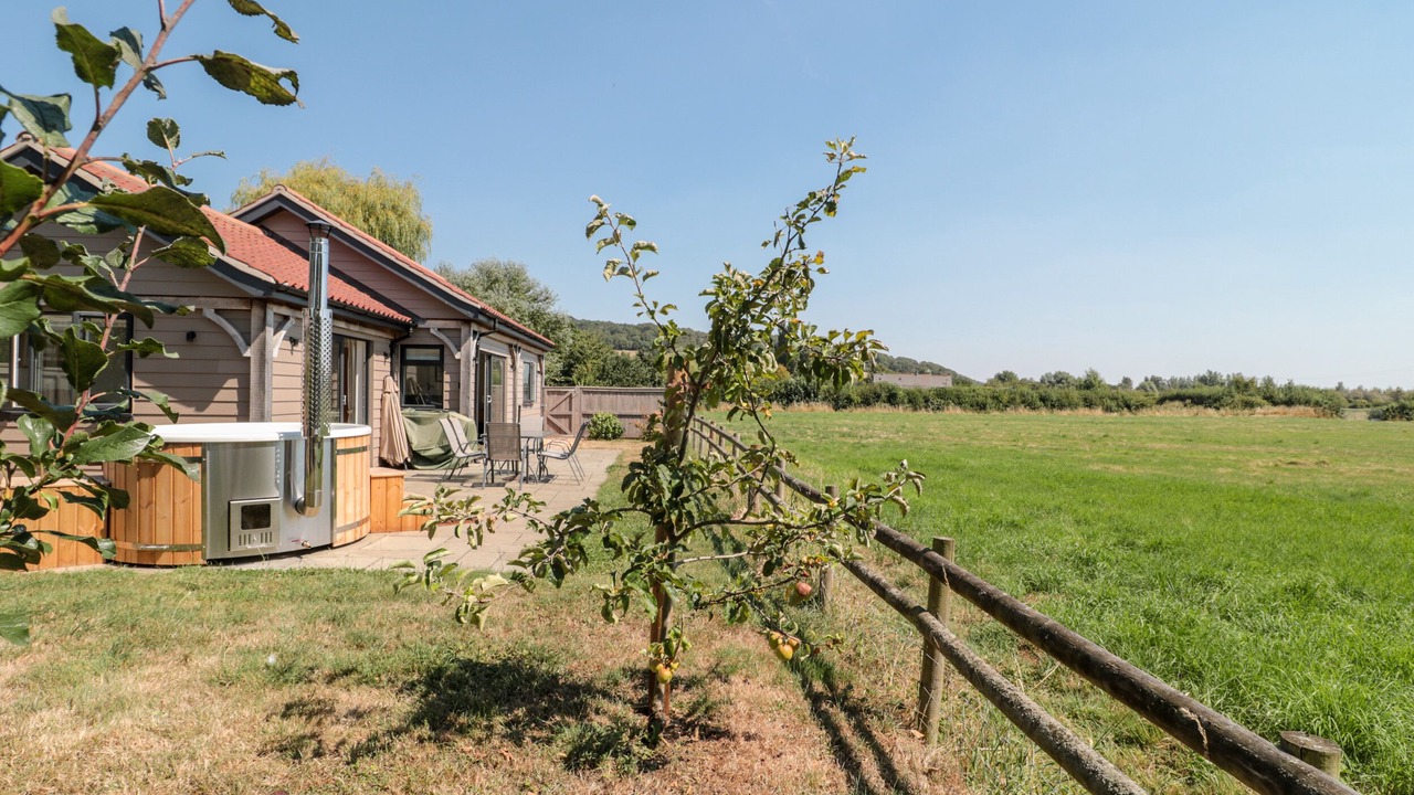 Photo of Others in Weston-super-Mare